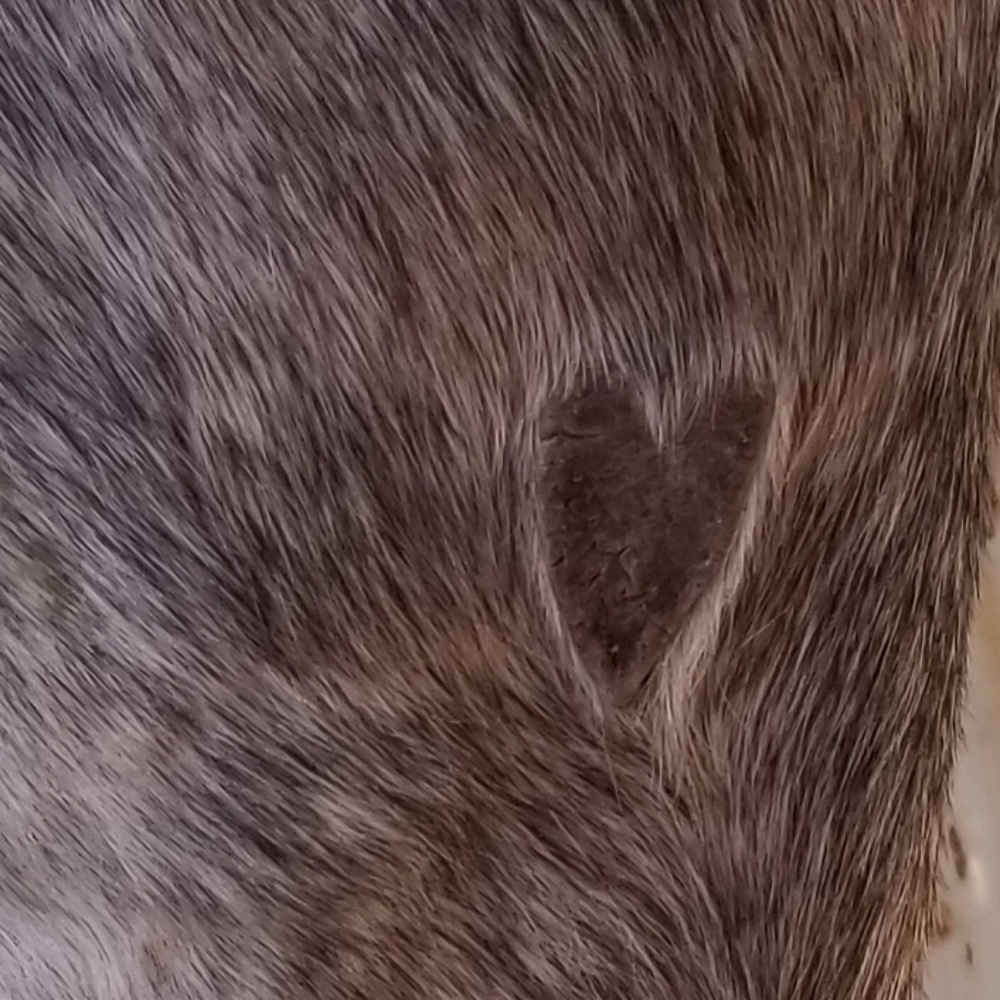 Meet your Posher, Kylee